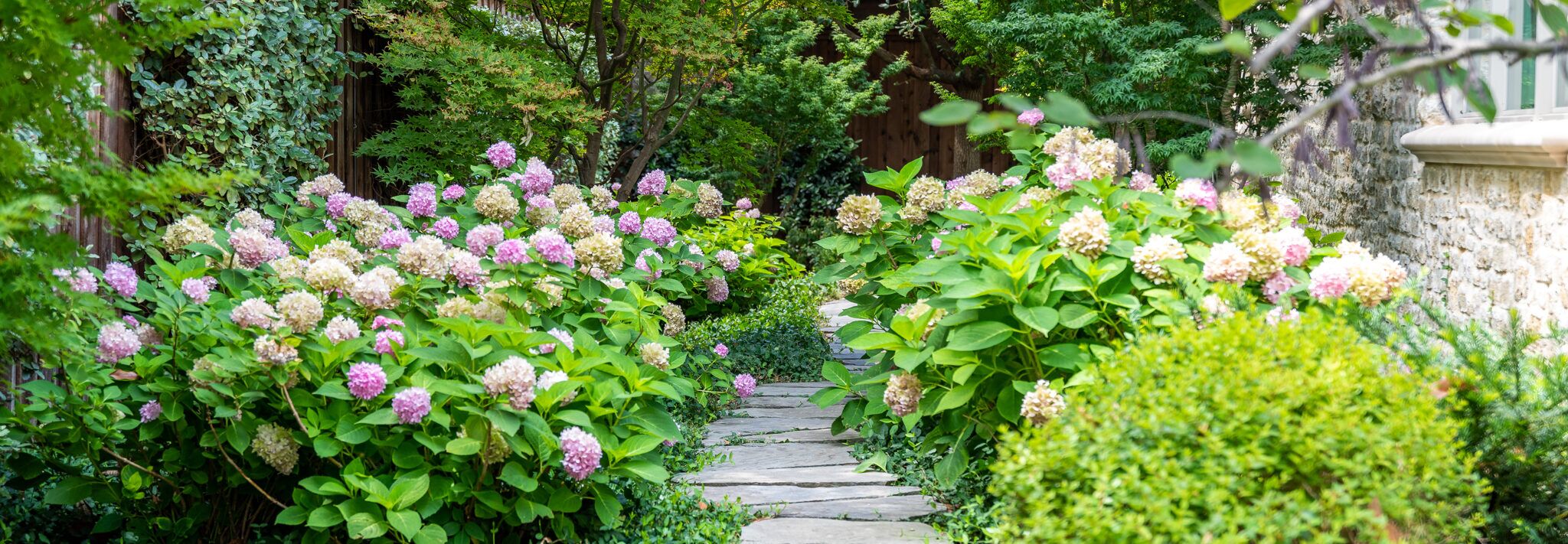 stevie wonder journey through the secret life of plants Wonder, Stevie