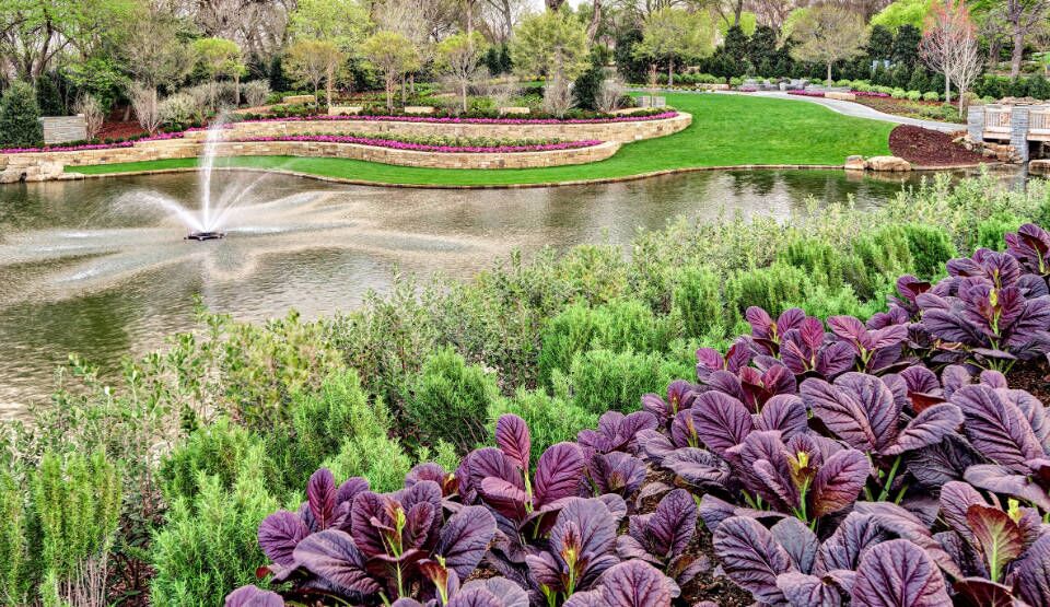 What the green standard means to us | Ft Worth and Dallas, TX Landscaping Services