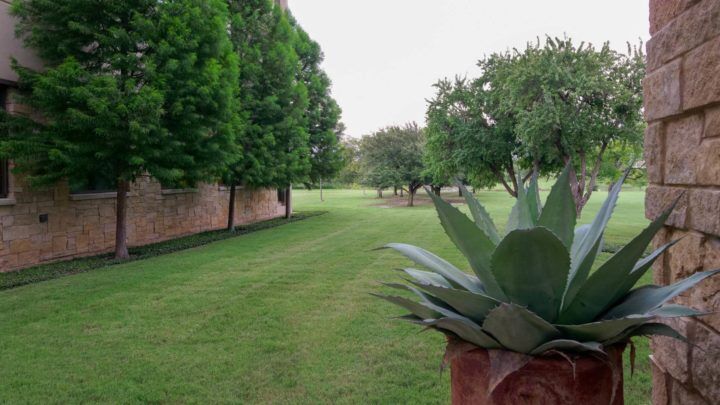 Summer Landscaping: Protect Your Lawn with Southern Botanical's Fertilization Program