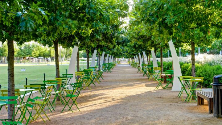 Take Advantage of Southern Botanical's Year-Round Commercial Landscape Maintenance Services