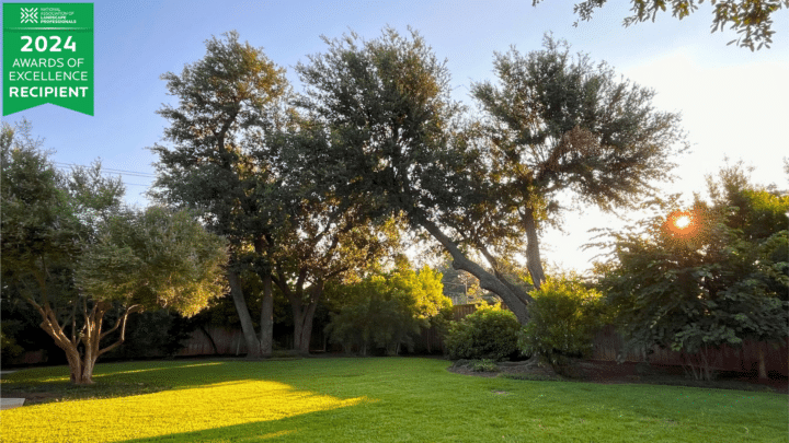 Dallas Tree Restoration