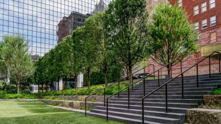 Tasset Eye landscaping by Southern Botanical with Arborists as Landscape Innovators: Creative Tree Solutions for Challenging Spaces