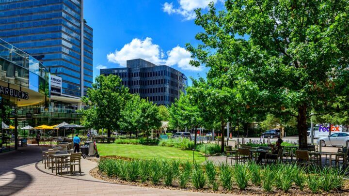 Commercial Landscaping from landscape designer| Southern Botanical | McKinney & Olive