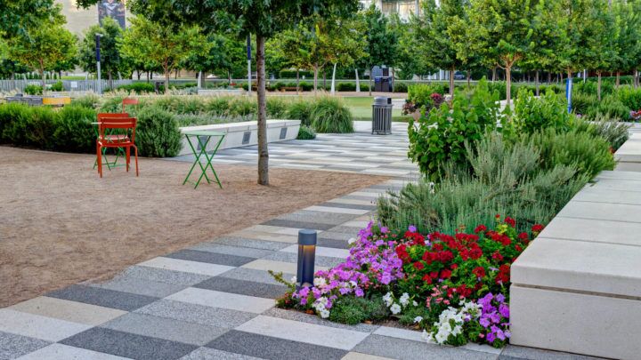 Summer Landscape Care | Dallas Landscaping Services Company