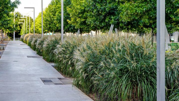 Preparing Your Commercial Landscaping for Fall and Winter | Dallas Landscaping Services Company