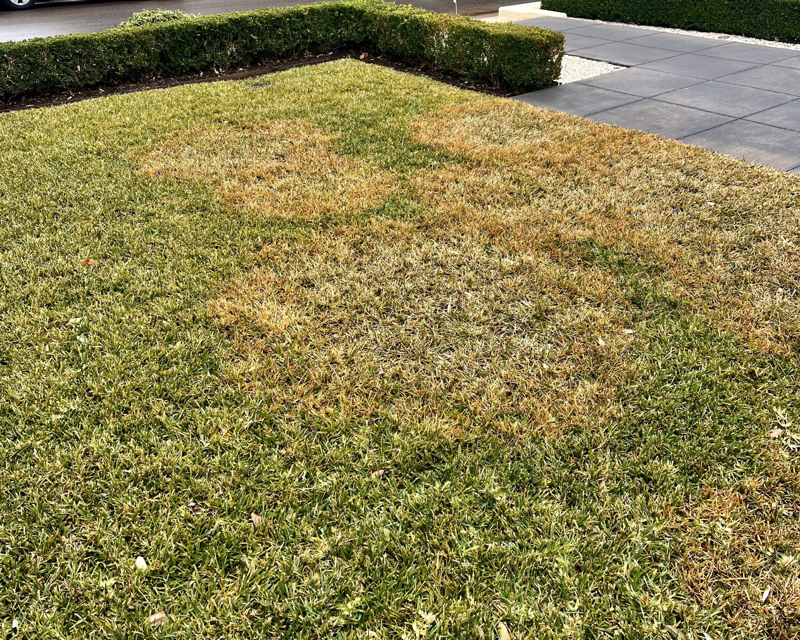 Healthy Lawn Full Website (Copy, 234 selected)